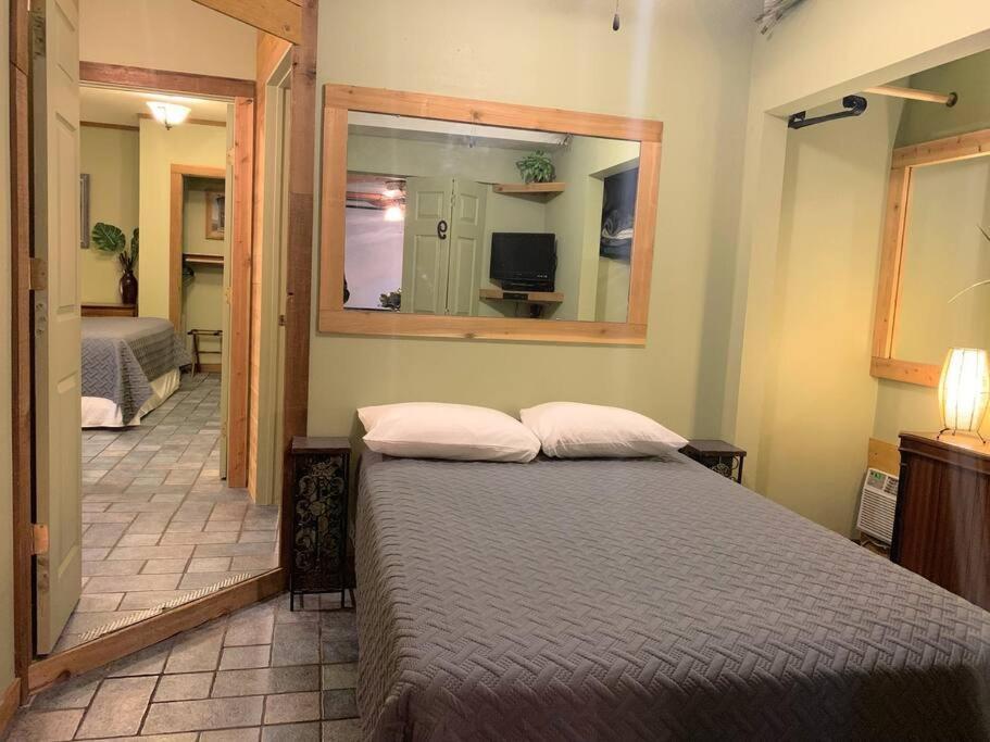 The River Haven - Sleeps 32 - On Guadalupe River 塞金 外观 照片