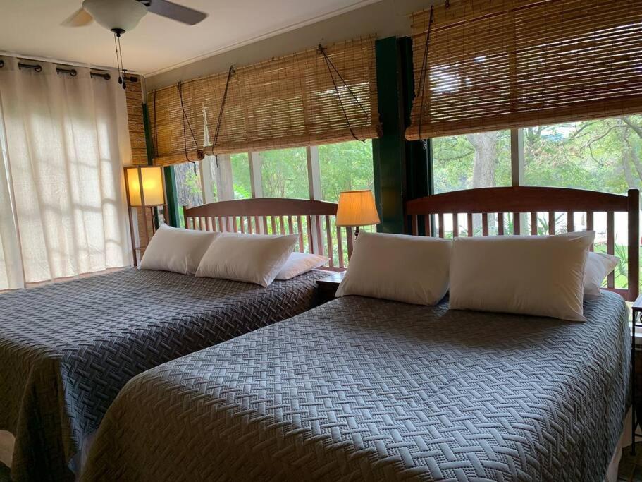 The River Haven - Sleeps 32 - On Guadalupe River 塞金 外观 照片