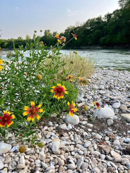 The River Haven - Sleeps 32 - On Guadalupe River 塞金 外观 照片