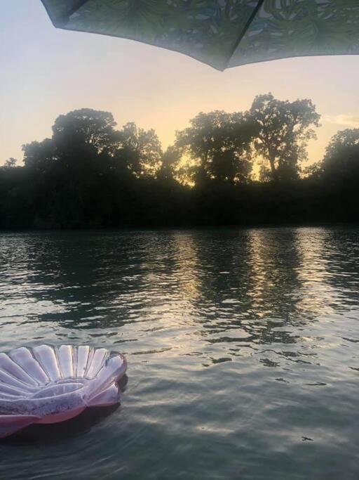 The River Haven - Sleeps 32 - On Guadalupe River 塞金 外观 照片
